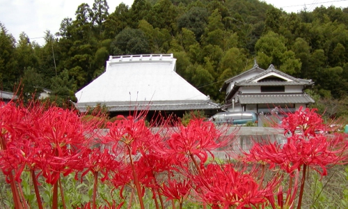 田舎風景