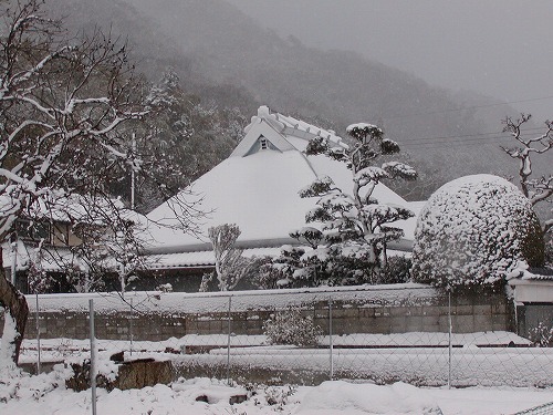雪景色